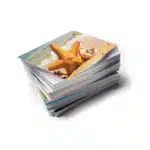 Passport Pack