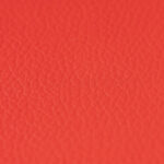 Synthetic_10x10_BrightRed_Locked