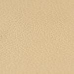 Synthetic_10x10_Champagne