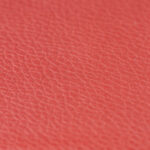 Synthetic_10x10_Coral