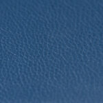 Synthetic_10x10_SteelBlue