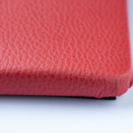 Landscape 12x8 — Synthetic — coral