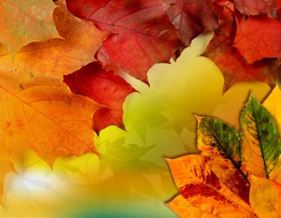 Fall Horizontal